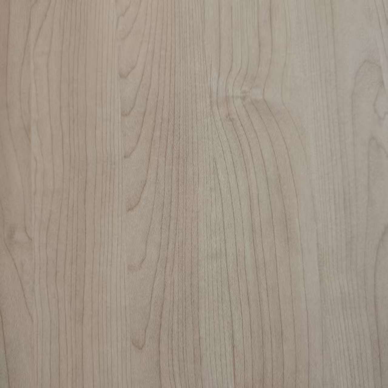 Giấy Melamine8031-10